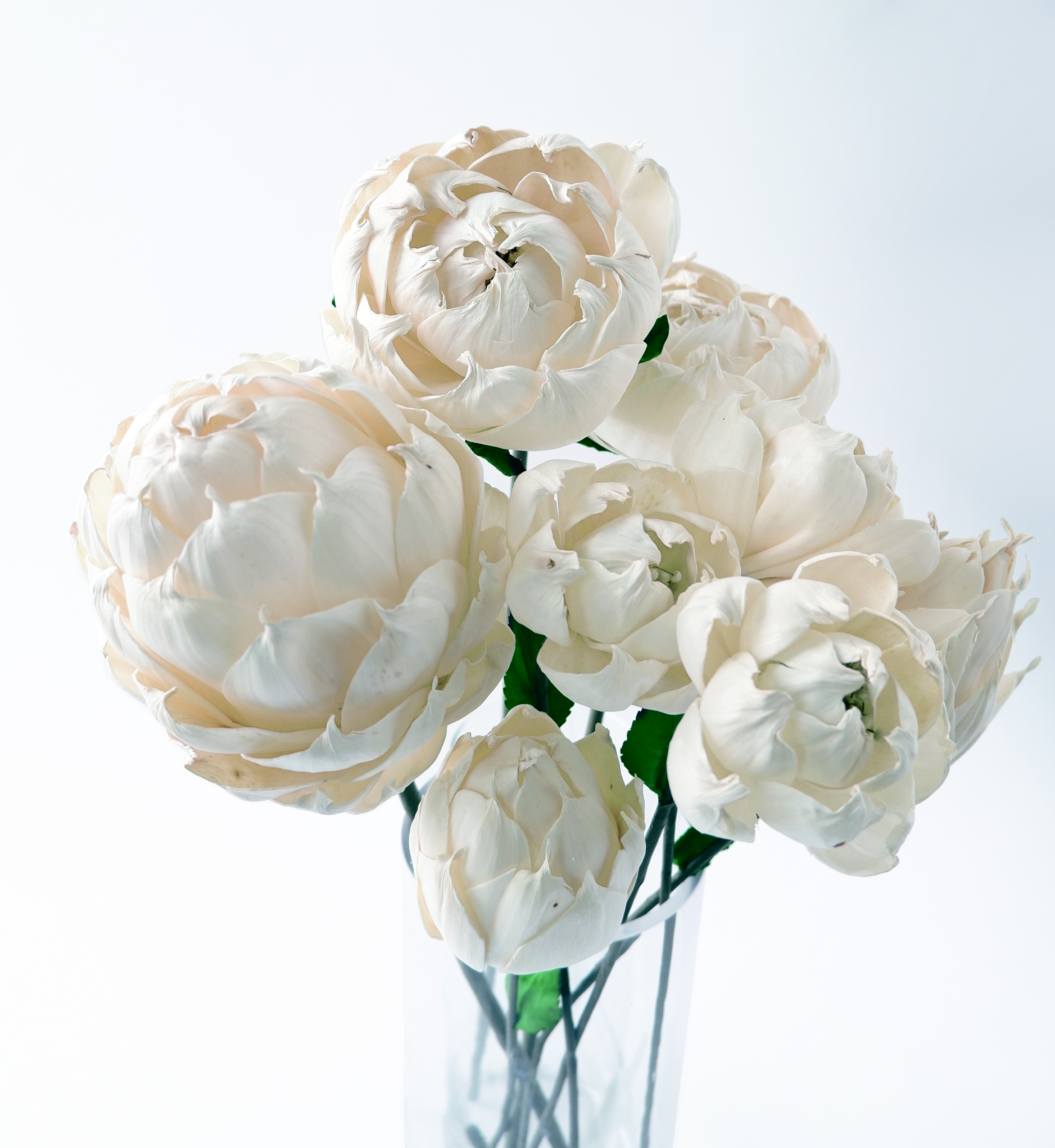 微笑みの国の白い宝石達。ソラフラワーを通じ、現地に仕事と収入を